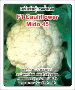 F1 Cauliflower 45