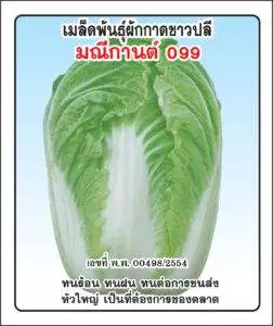 F1 Lettuce 099