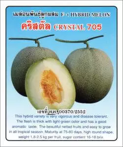 F1 Melon 705