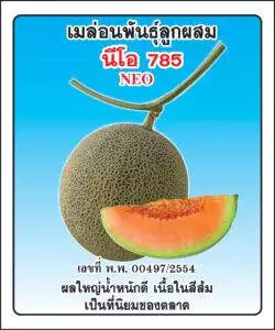 F1 Melon 785