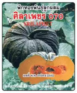 F1 Pumpkin 070