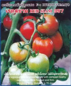 F1 Tomato 357