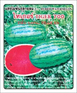 F1 Watermelon 700