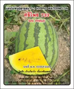 F1 Watermelon 733