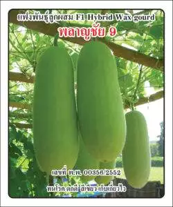 F1 Wax Gourd 9