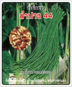 F1 Yard Long Bean 44