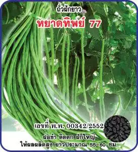 F1 Yard Long Bean 77