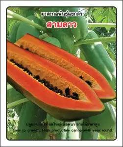 Carca Papaya